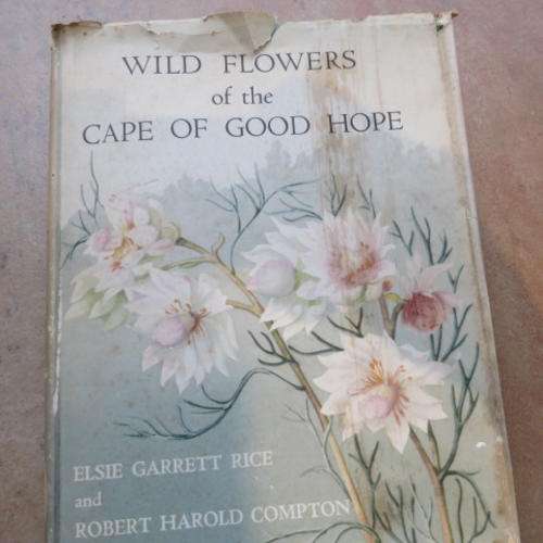 WILD FLOWERS OF THE CAPE OF GOOD HOPE - E.G. RICE