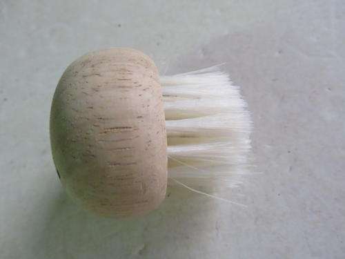 EARLY SPRING CLEANING - 3 DENNY MUSHROOM BRUSHES  FOR FRIENDS AND FAMILY - AS PER SCAN
