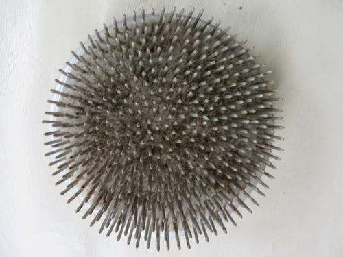 LEAD BASE FOR FLOWER ARRANGEMENTS - 120 MM DIAM. AS PER SCAN