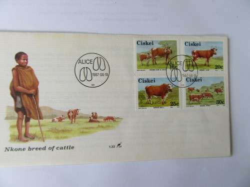 FDC CISKEI - NO. 1.22 - NKONE BREED OF CATTLE -   ADDITIONAL ITEMS MIGHT DIFFER