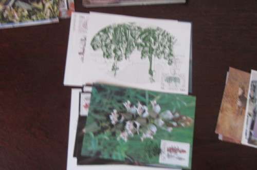 200 NEW POST CARDS WITH FOLDER -ONE LOT
