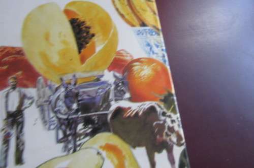 BETSIE ROOD`S 101 TRADITIONAL SOUTH AFRICAN RECIPES - FIRST EDITION 1977 - HO