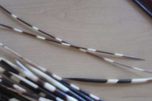 GLASS VASE AND 46 PORCUPINE QUILLS - 135 - 305 MM -BID PER ITEM