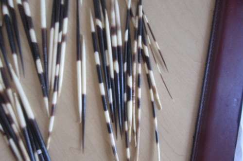 GLASS VASE AND 46 PORCUPINE QUILLS - 135 - 305 MM -BID PER ITEM