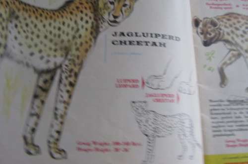 VINTAGE SOUTH AFRICAN ANIMAL GUIDE-A PUBLICATION OF THENATIONAL PARKS BOARD OF TRUSTEES OF THE