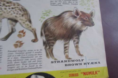 VINTAGE SOUTH AFRICAN ANIMAL GUIDE-A PUBLICATION OF THENATIONAL PARKS BOARD OF TRUSTEES OF THE