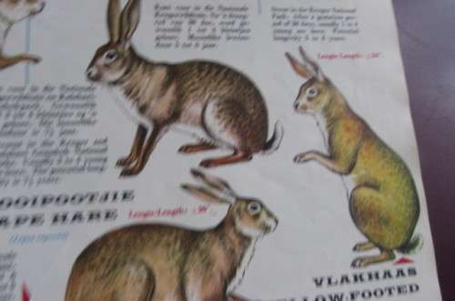 VINTAGE SOUTH AFRICAN ANIMAL GUIDE-A PUBLICATION OF THENATIONAL PARKS BOARD OF TRUSTEES OF THE