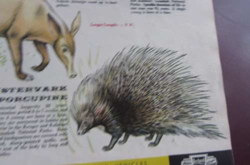 VINTAGE SOUTH AFRICAN ANIMAL GUIDE-A PUBLICATION OF THENATIONAL PARKS BOARD OF TRUSTEES OF THE