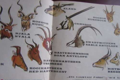 VINTAGE SOUTH AFRICAN ANIMAL GUIDE-A PUBLICATION OF THENATIONAL PARKS BOARD OF TRUSTEES OF THE