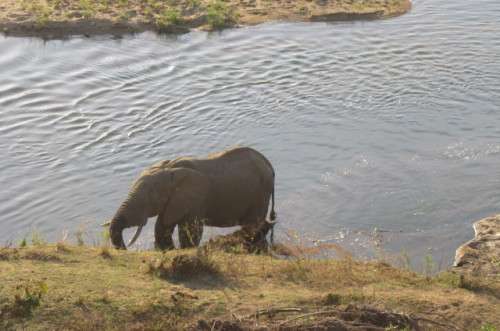 BARGAIN!!!!!-NGWENYA LODGE TIMESHAREFROM20.9.-27.9... STUDIO NO 57- 2 SLEEPER - RIVERVIEW TO RENT