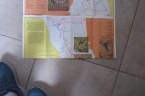 VINTAGE FOLDABLE KRUGER PARK MAP - ANIMAL COUNTING 1971 - AS PER SCAN - SP