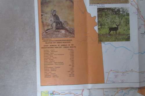 VINTAGE FOLDABLE KRUGER PARK MAP - ANIMAL COUNTING 1971 - AS PER SCAN - SP