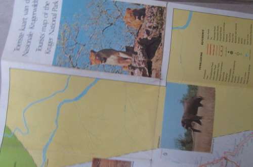 VINTAGE FOLDABLE KRUGER PARK MAP - ANIMAL COUNTING 1971 - AS PER SCAN - SP