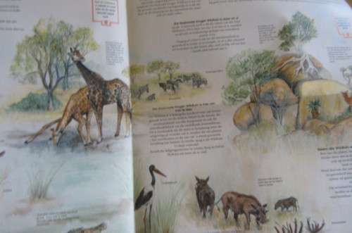 NASIONALE KRUGER WILDTUIN - REIS GIDS