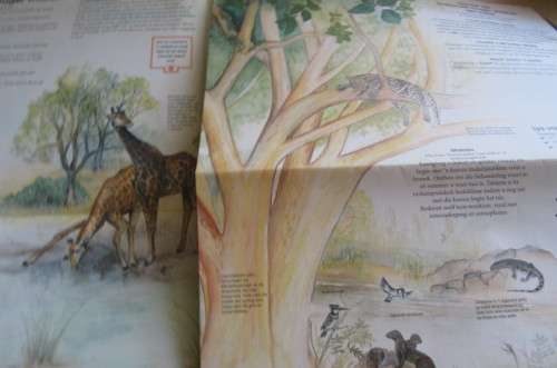 NASIONALE KRUGER WILDTUIN - REIS GIDS