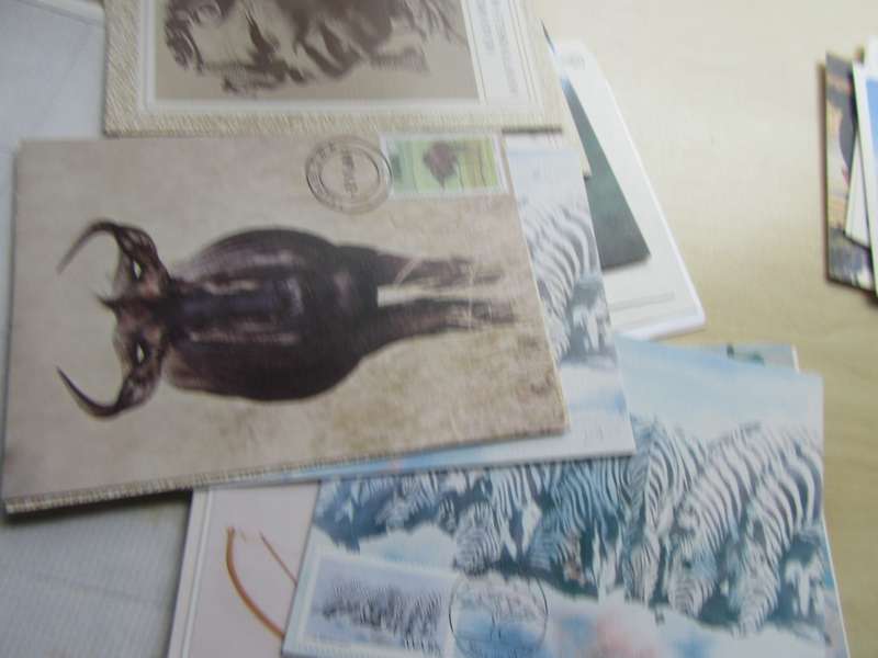 POST CARD CLEARANCE- 67VARIOUS INCL. DUPLICATES FROM RSA AND SWA- ONE LOT