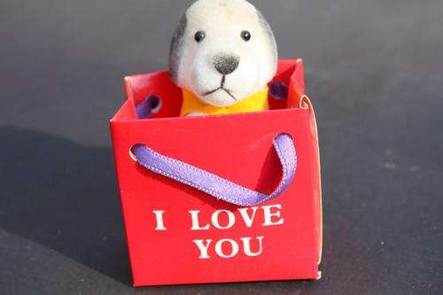 DOG - I LOVE YOU