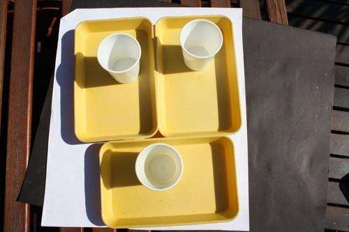 16 PLATES AND CUPS
