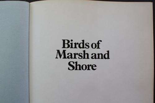 BIRDS OF MARSH AND SHORE - J.GOODERS