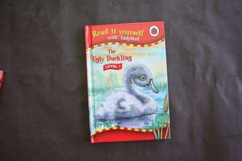 THE UGLY DUCKLING