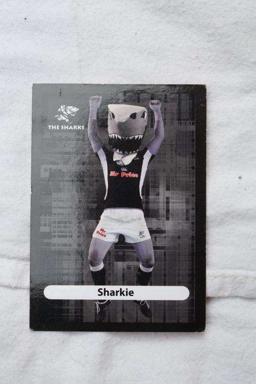 BIG - BALL RUGBY - SHARKS - SHARKIE