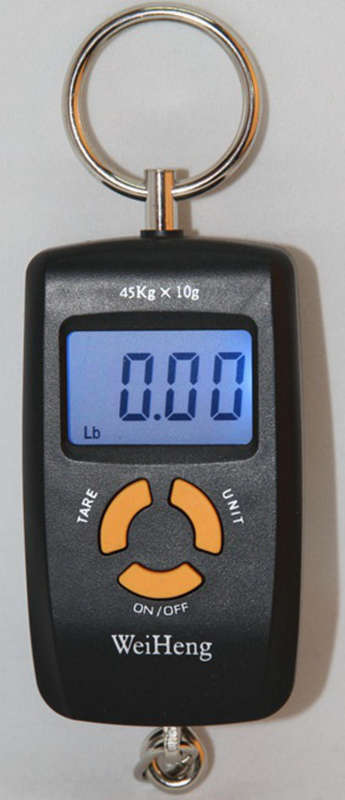 Portable Electronic Scale - Double Precision