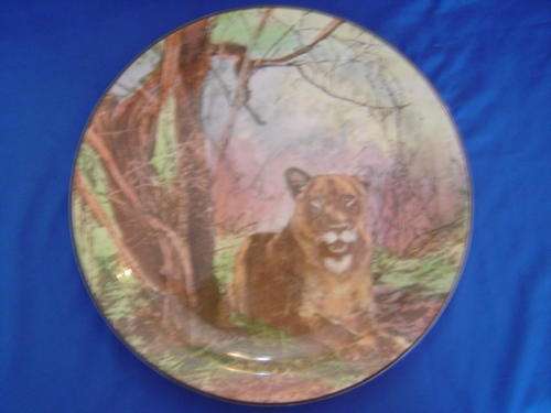 Royal Doulton Lioness Plate Krugerpark