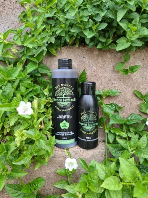 Neem oil 100% Pure Cold Pressed concentrate 1 litre