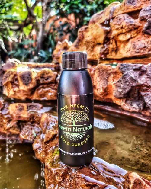 Neem oil 100% Pure Cold Pressed concentrate 2 litre