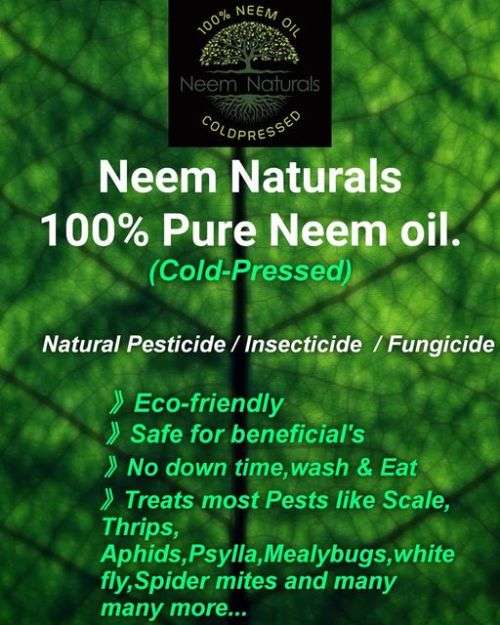 Neem oil 100% Pure Cold Pressed concentrate 1 litre