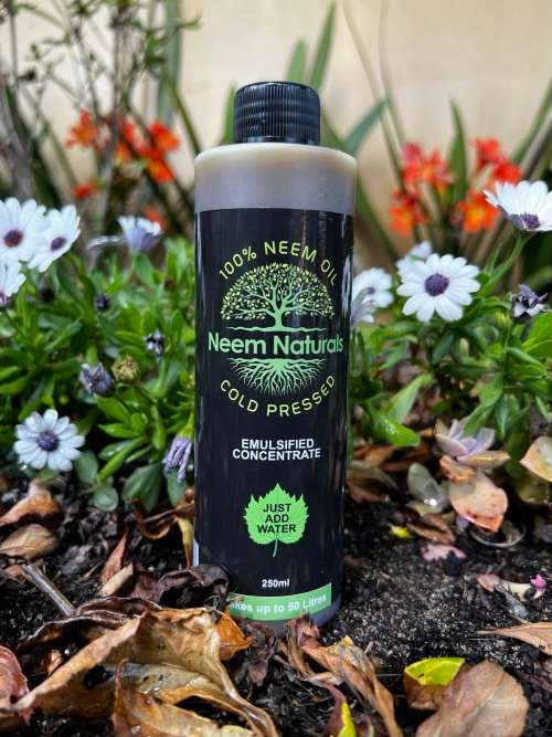 Neem oil 100% Pure Cold Pressed concentrate 250ml (makes up to 50 litres)