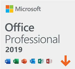 Microsoft Office Professional 2019 | Auction Special