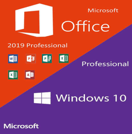 Windows 10 Pro + Microsoft Office 2019 |COMBO Auction Special