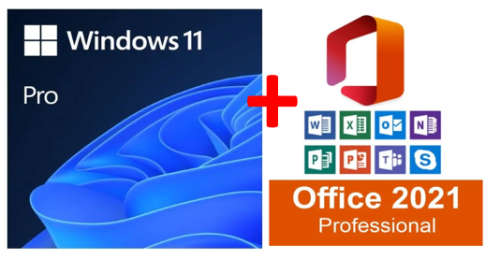 Windows 11 Pro + Microsoft Office 2021 | COMBO Auction Special