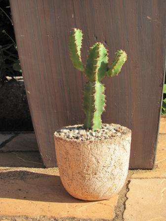LIGHTWEIGHT FIBRE REINFORCED ATTRACTIVE  CONCRETE POT!