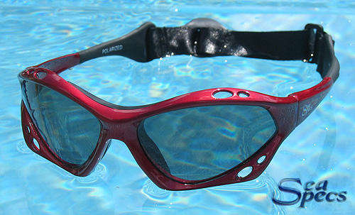SEA SPECS,SEASPECS,SUNGLASSES