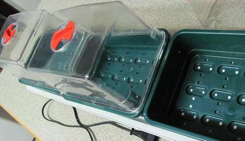 TRIO TOP SEED/CUTTING PROPAGATOR