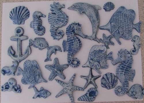 starfish,seahorse,shell