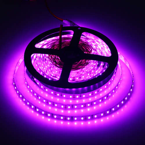 Pinkish Purple LED Strip Light DC12V 5M 600 Led Romantic flexible ribbon