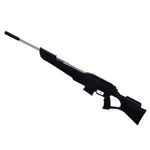 BEEMAN 10522GP Quiet Tek Gas Ram Rifle .22 Cal.