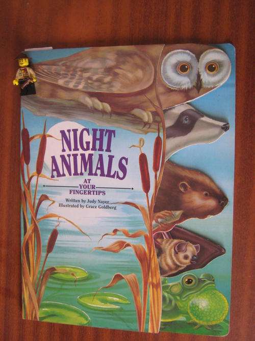 Night animals at your fingertips- Judy Nayer