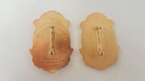 Fire and Rescue Badges