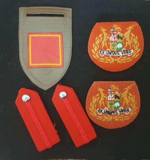 SADF Chief of staff lot, Tupperr, WO Ranks, Collar tabs, badges