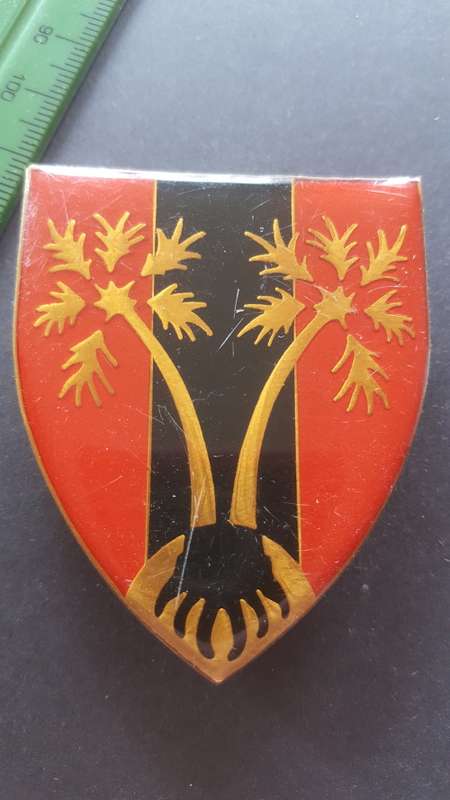 SADF Metal Flash SWAN Logistical  Command Provost Unit
