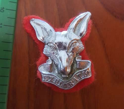 SADF intel beret badge