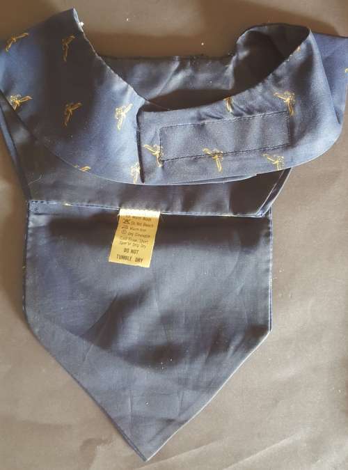 SAAF Cravat