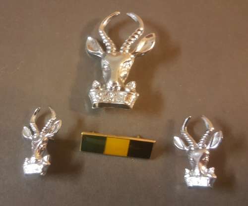 SADF Infantry Beret Badge, Collars and Bar. Bokkoppies