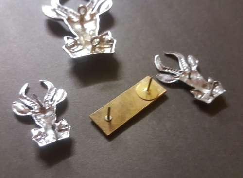SADF Infantry Beret Badge, Collars and Bar. Bokkoppies