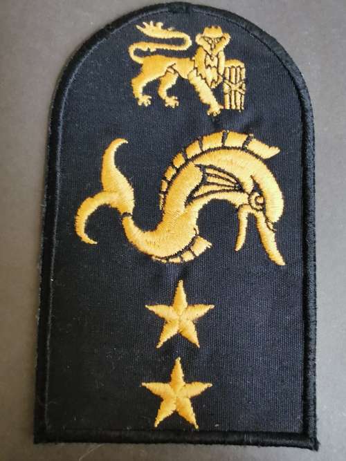 SA Naval Intelligence Patch