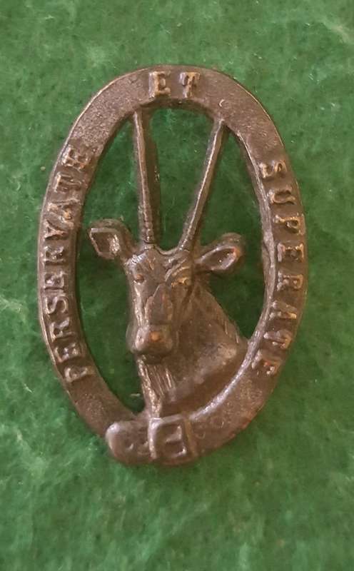 SADF 8 SAI Beret Badge (please note condition)